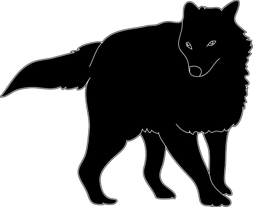 silhouette of wolf with winter fur black white