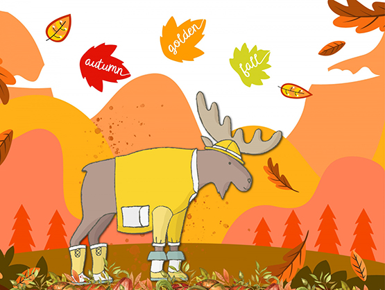 autumn fall moose