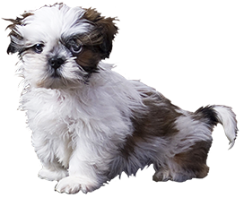 baby dog clipart