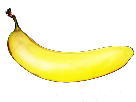 single banana clipart