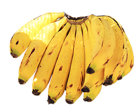 banana cluster clipart