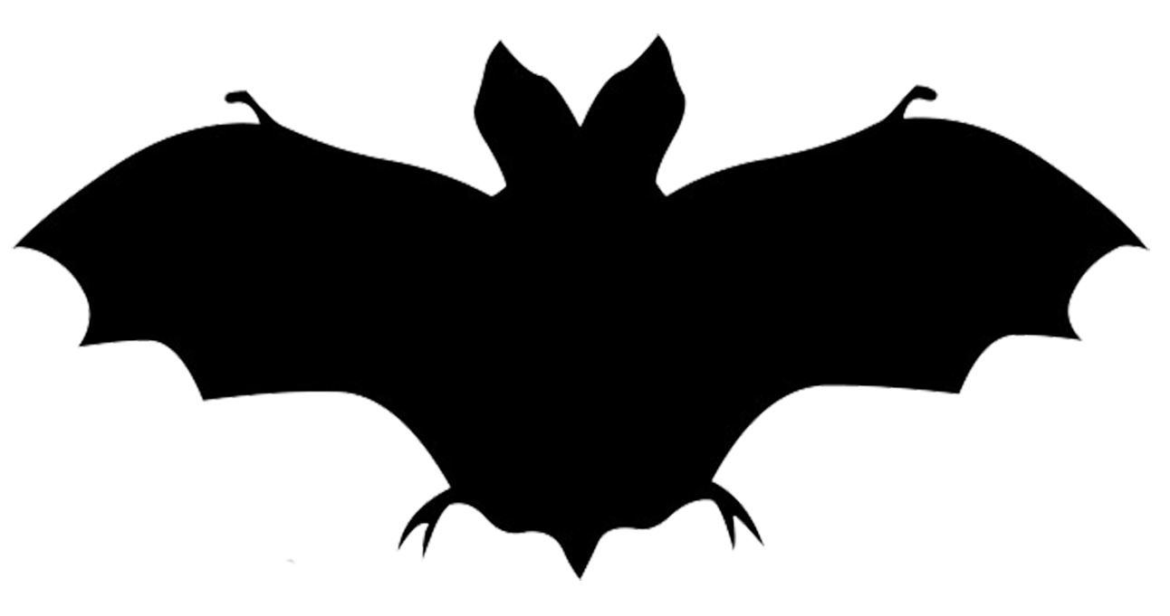 Bat Silhouette 6