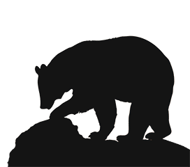 bear silhouette on rocks