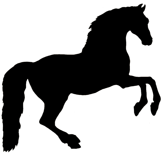 beautiful horse silhouette