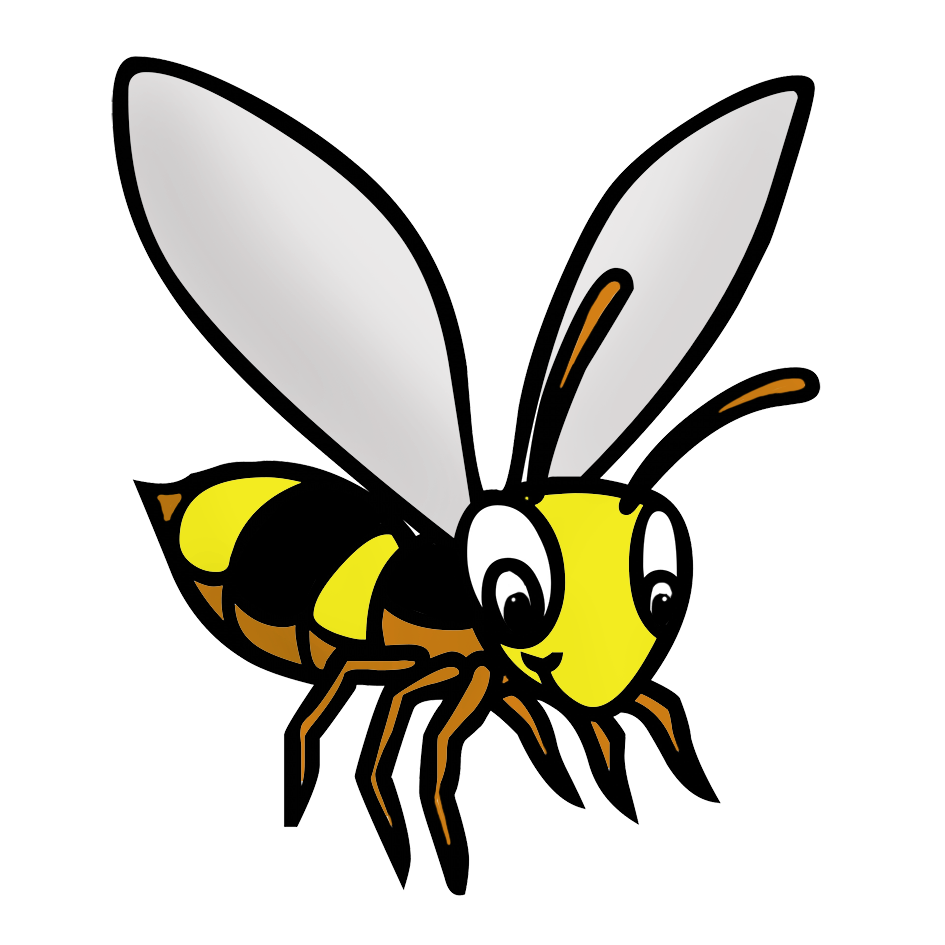 bee drawing in color