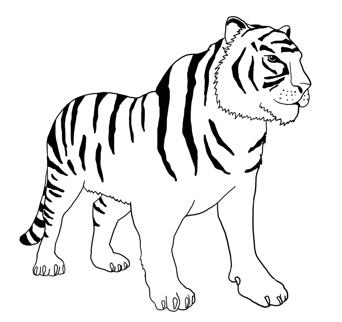 Tiger Coloring Pages