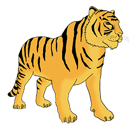 Bengal tiger png