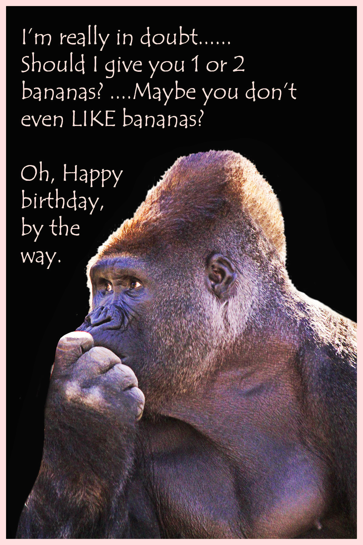 funny Birthday card with a gorilla