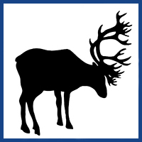 animal silhouette logo