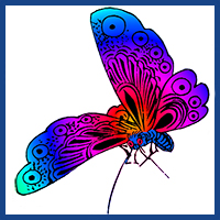 big logo colorful butterfly images