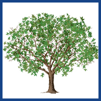 big logo tree clipart