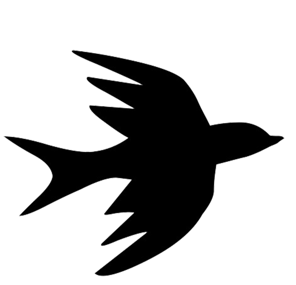 bird flight silhouette
