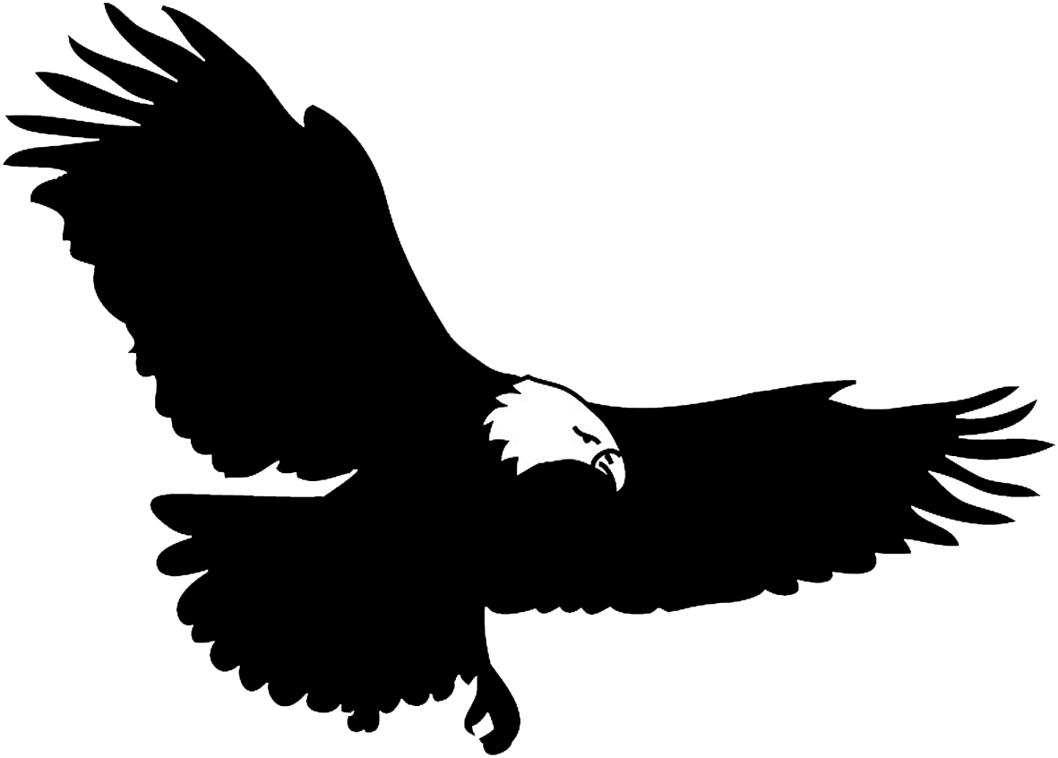 bird silhouette bald eagle flying