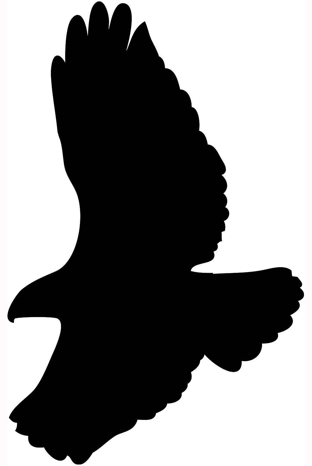 Black silhouette of hawk flying