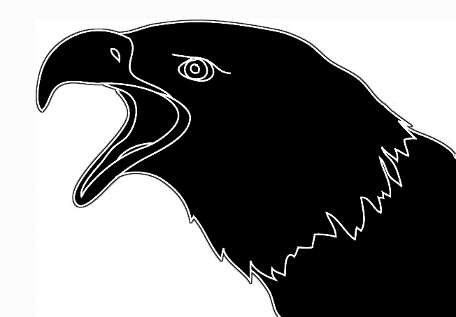silhouette of screaming eagle