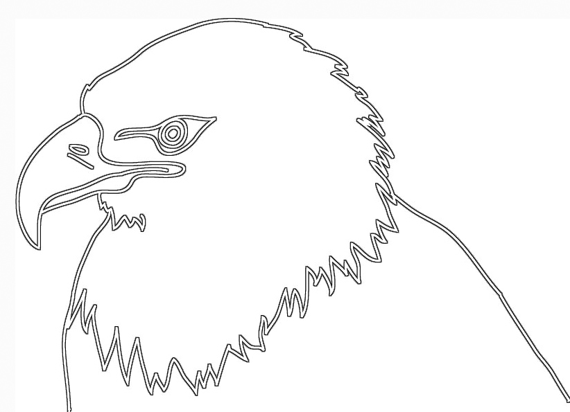 white black silhouette of eagle head