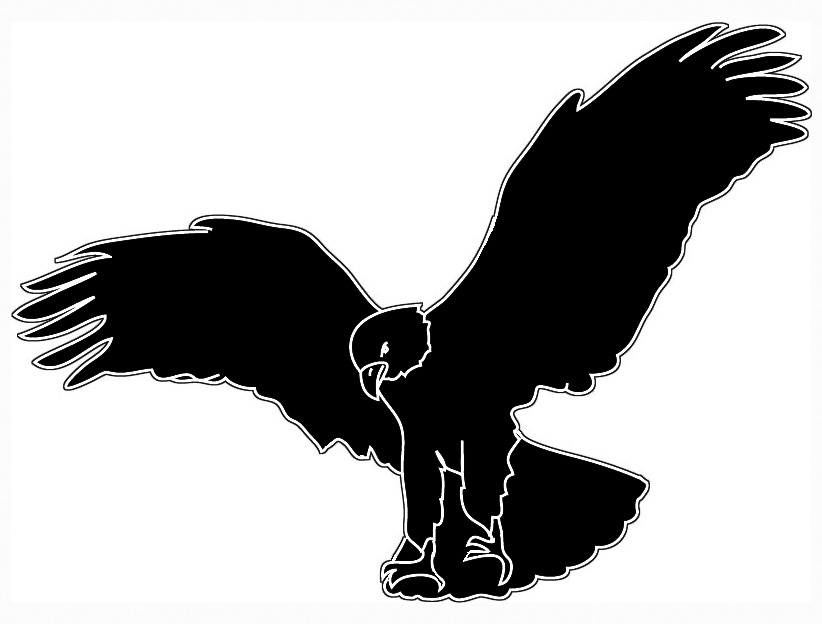 silhouette of landing eagle