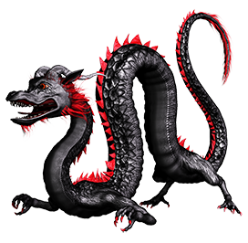 black Chinese dragon black