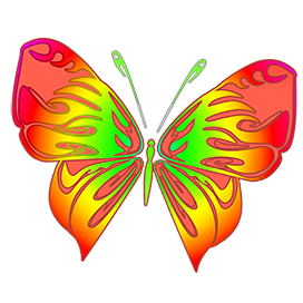 black outlined red orange butterfly