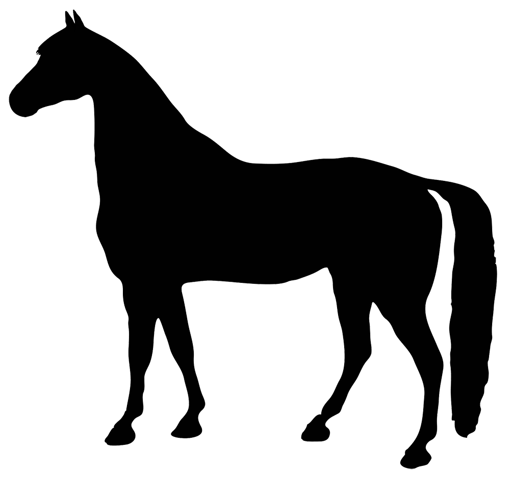 black silhouette horse