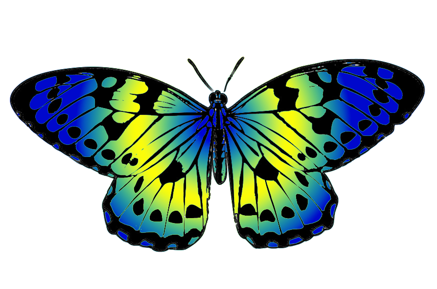 blue and yellow butterfly clip art