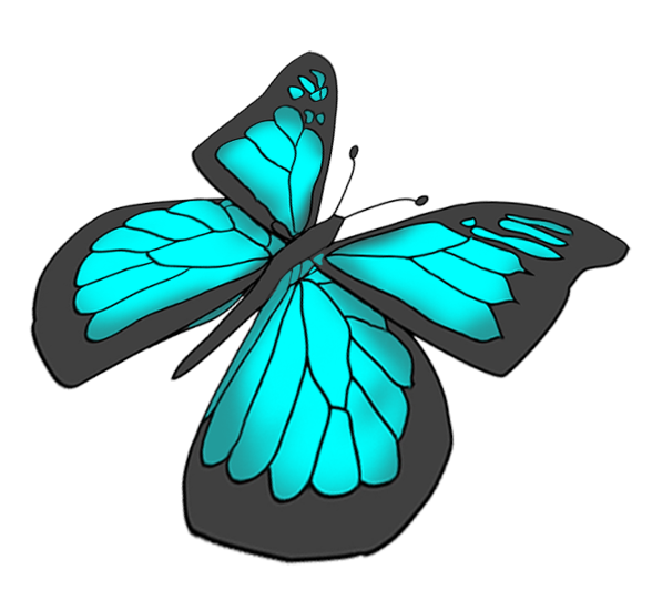 free butterflies drawing