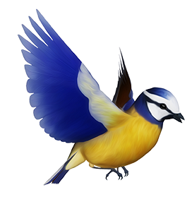 blue tit clipart artificial