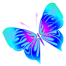 bluish butterfly image