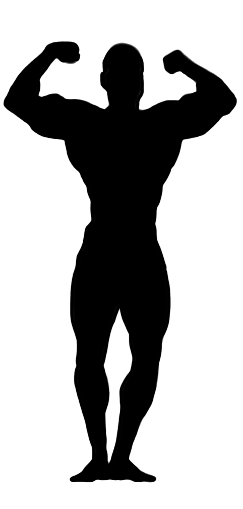 body builder silhouette
