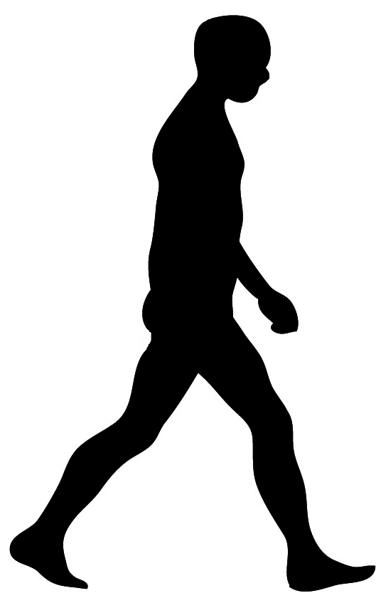 silhouette of walking man
