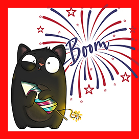 Boom 4th of July cat