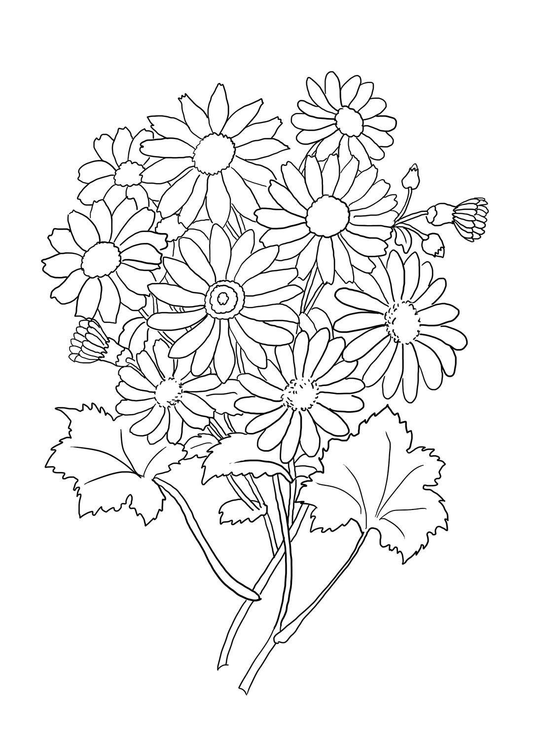 Download Flower Coloring Pages