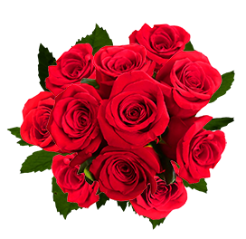 bouquet of red red roses for birthday