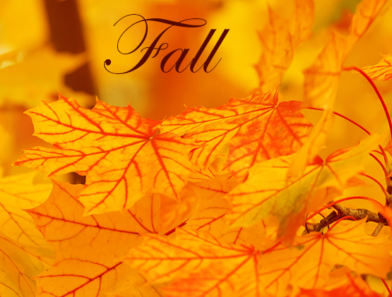 Fall clipart with yeallow leaves