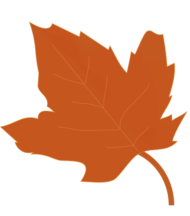 drawing of brown fall leaf