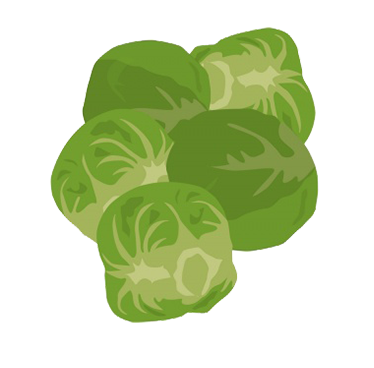 Brussel sprouts clipart