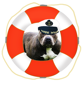 bull dog ship captain clipart