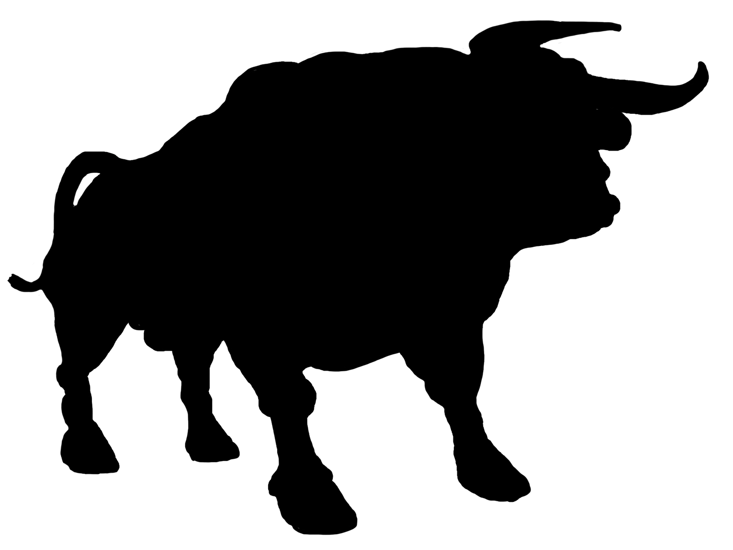 silhouette of bull