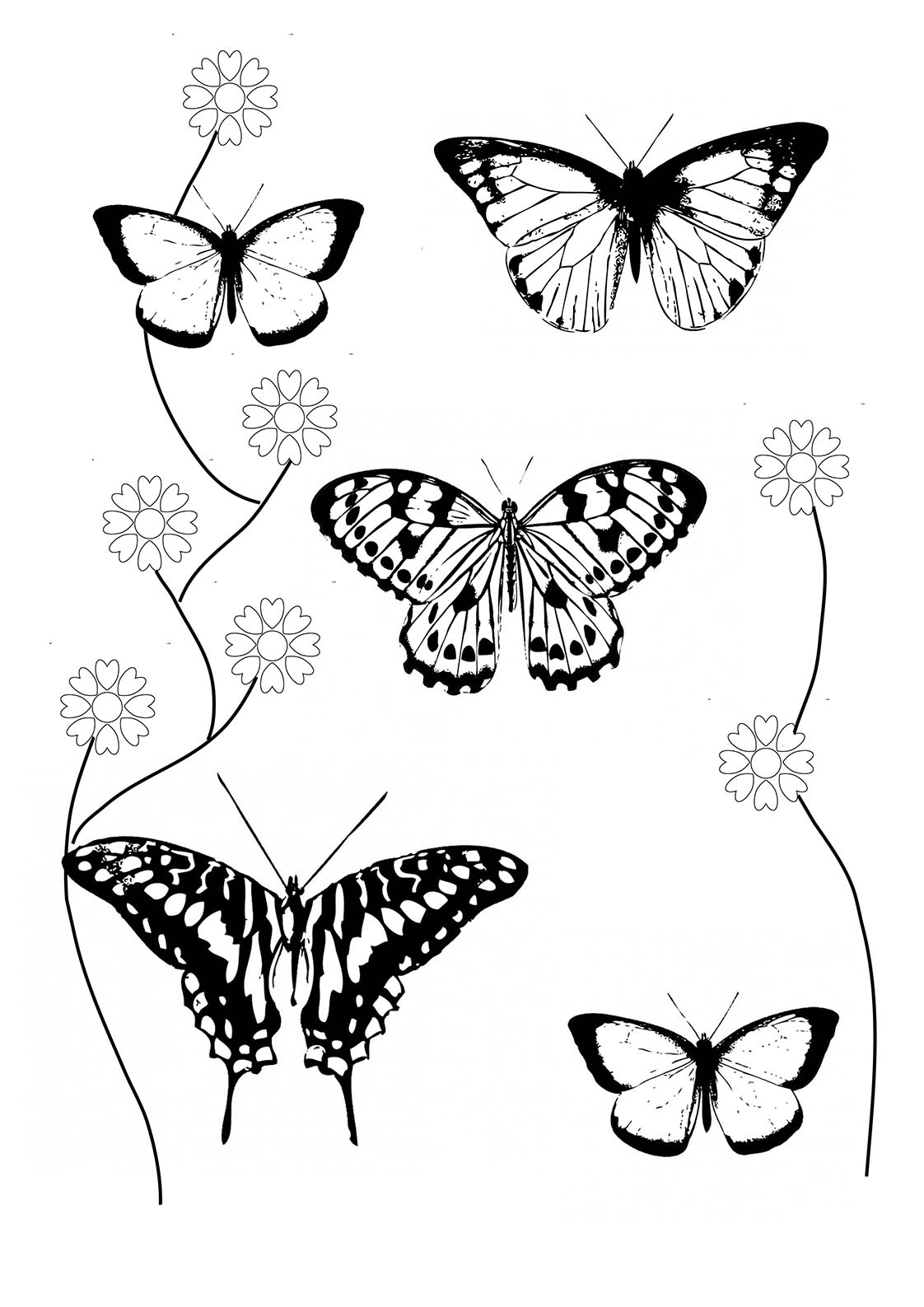 butterflies coloring pages