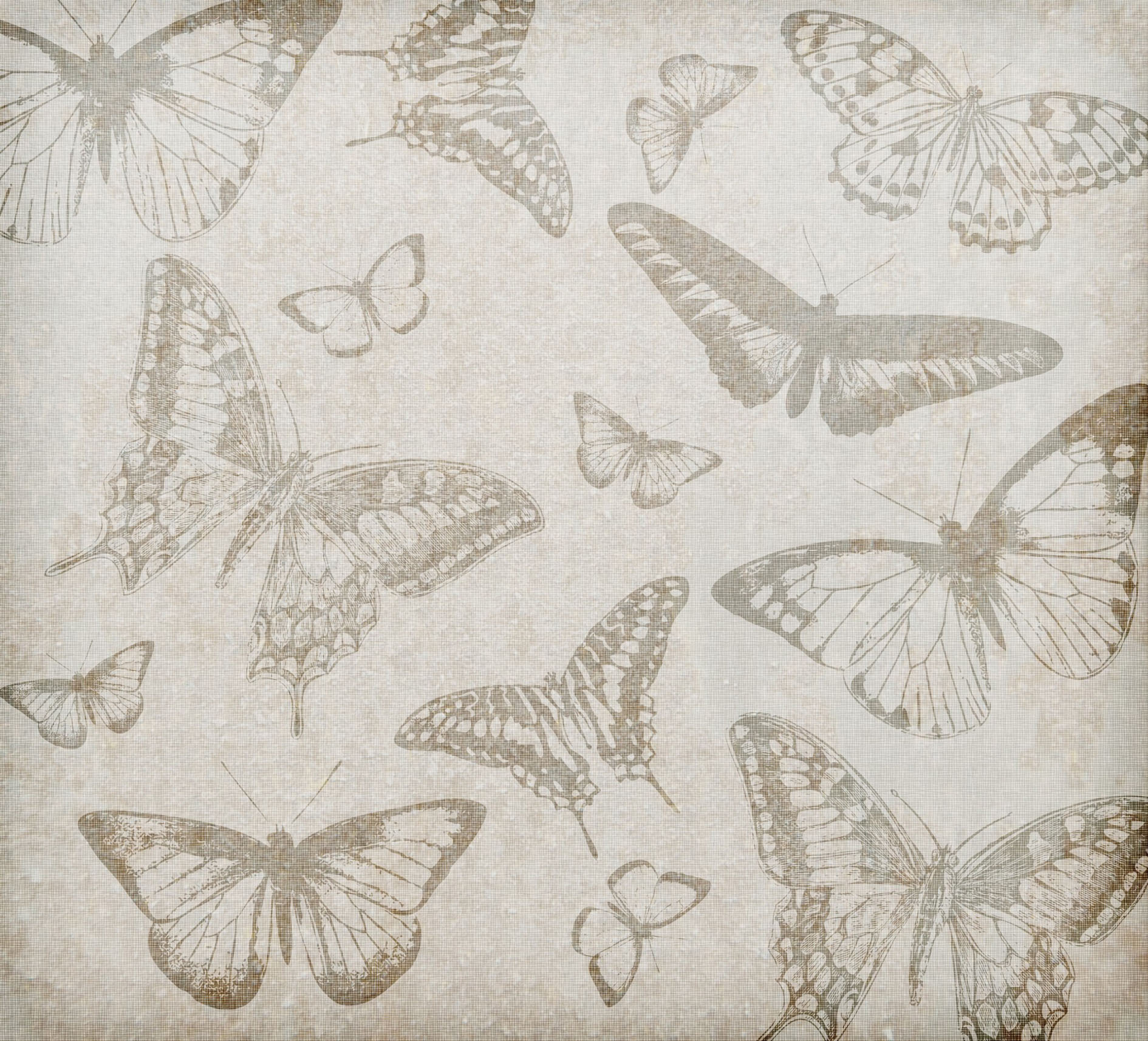 vintage butterfly background