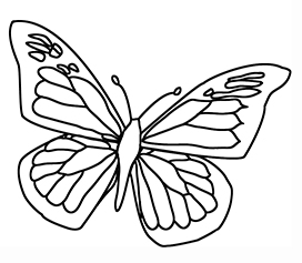 pretty butterfly coloring sheet