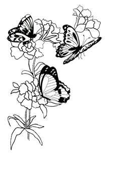 Black white butterfly corner