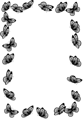 butterfly border black white