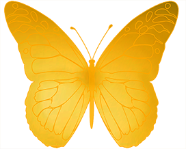 butterfly image golden