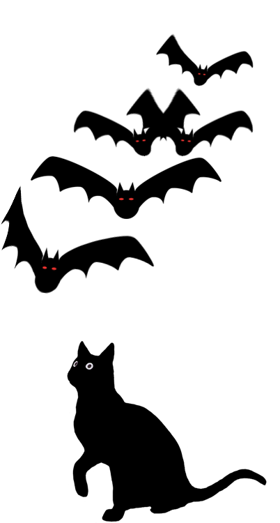 A black cat trying to catch red eyed bats