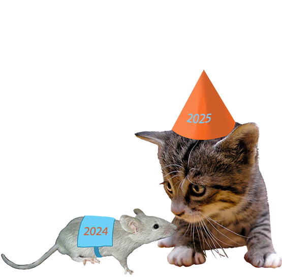 New Year cat meting Old Year mouse