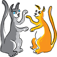 cat drawings of two cats playing fighting