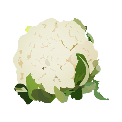 cauliflower clipart