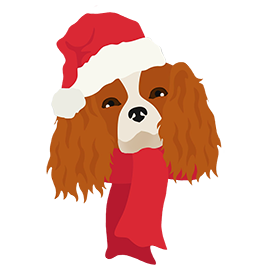 King Charles spaniel with Christmas outfit