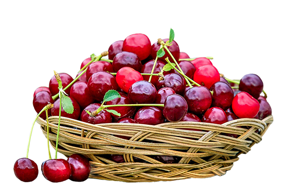 cherries in a basket